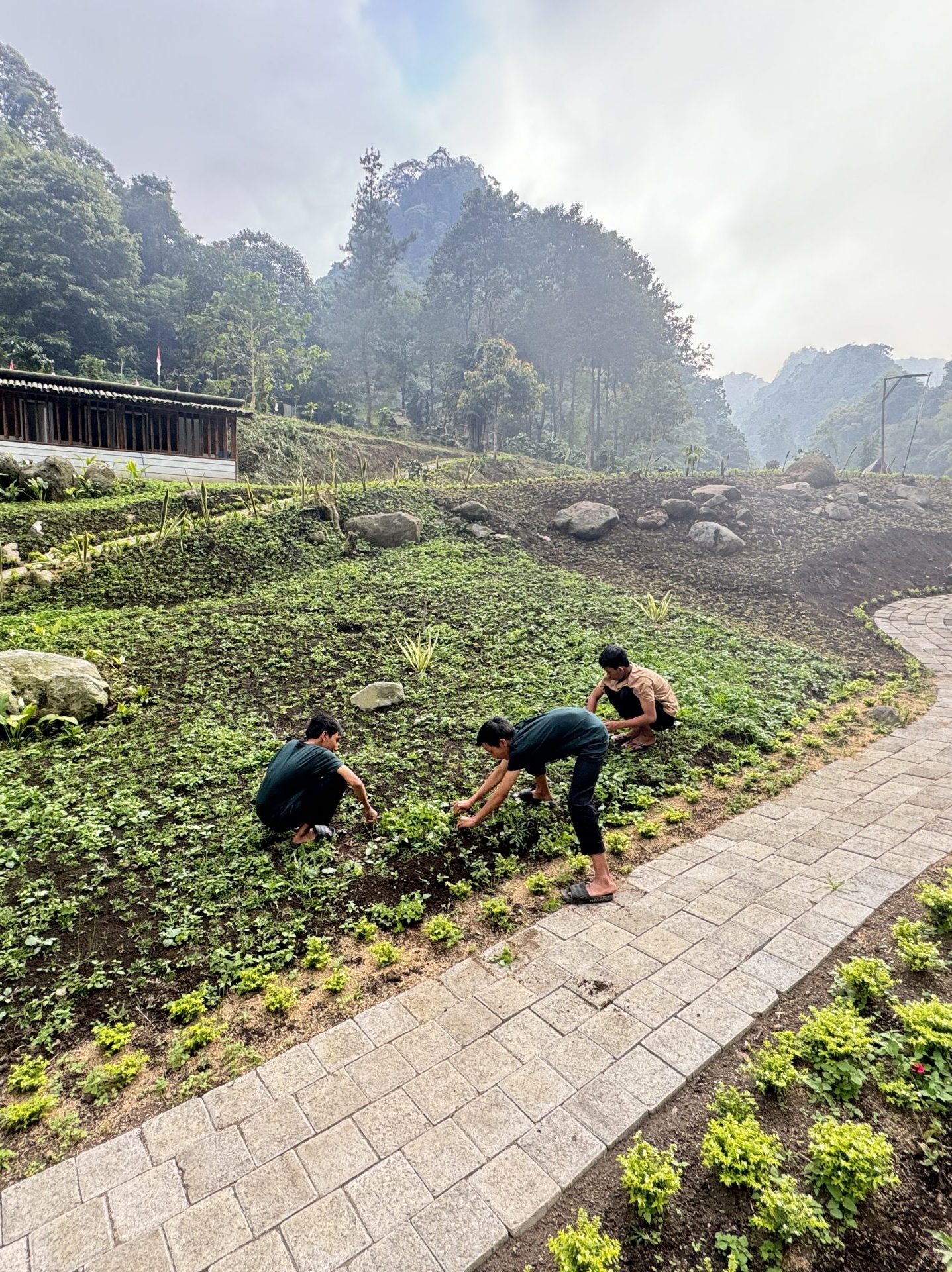 Berkebun